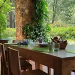 Domaine Codaleone * Серьера