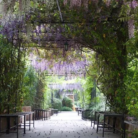 Villa Domaine Codaleone