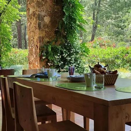 Domaine Codaleone * Serriera (Corsica)