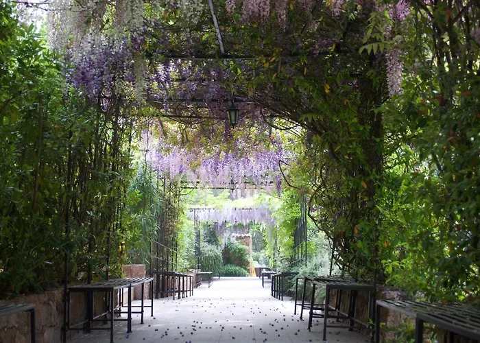 Vila Domaine Codaleone