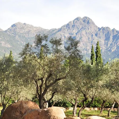 Domaine Codaleone Villa Serriera (Corsica)