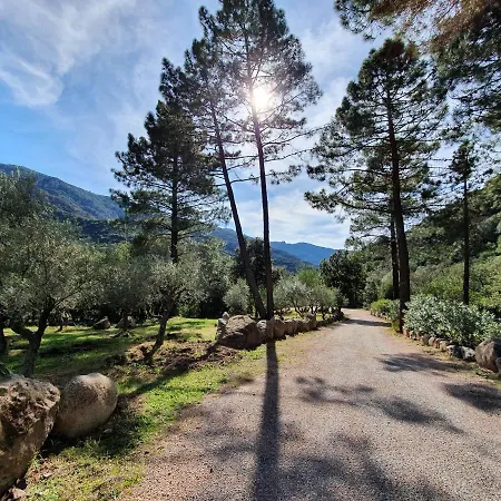 Domaine Codaleone Serriera (Corsica)