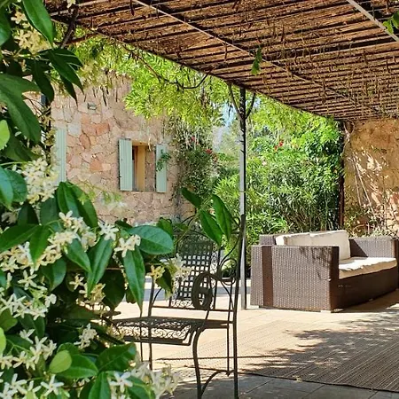 Domaine Codaleone Serriera (Corsica)