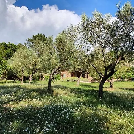 Villa Domaine Codaleone Serriera (Corsica)