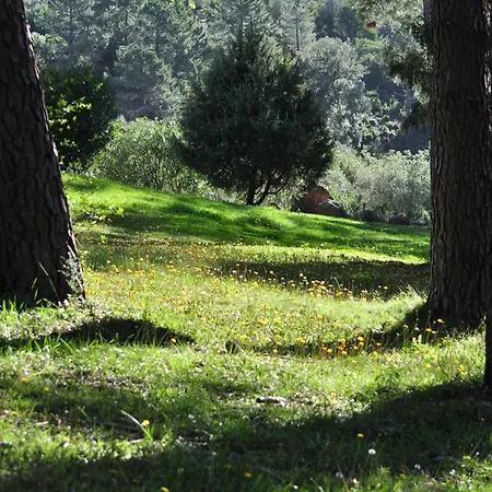 Domaine Codaleone Villa