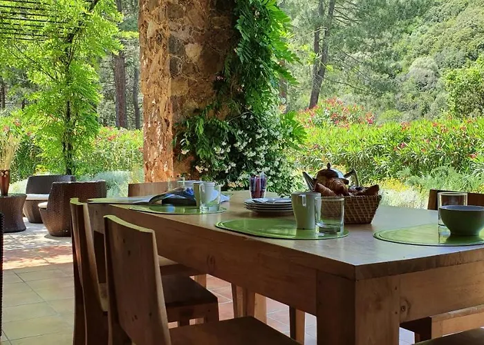 Domaine Codaleone * Serriera (Corsica)